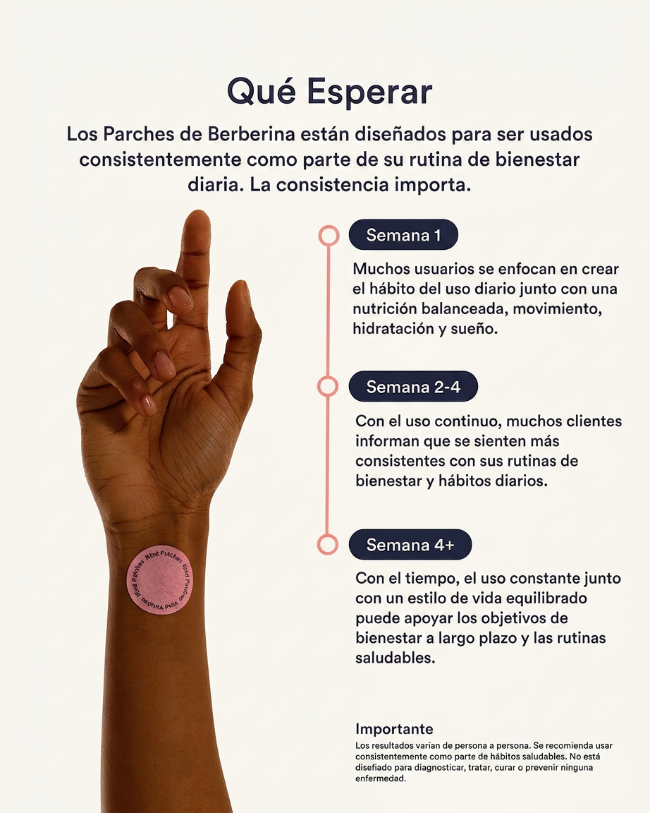 Qué esperar — cronología